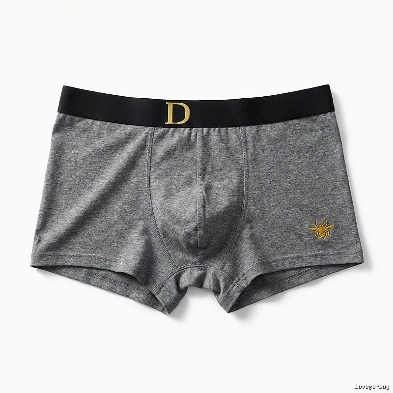 Dior minimalist style grey underwear